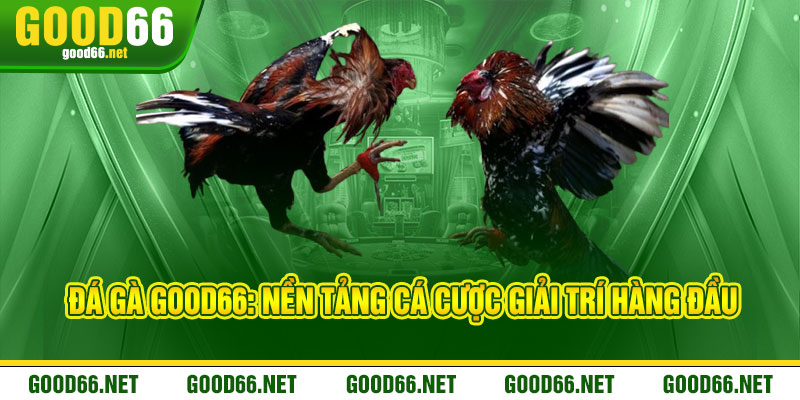 Đá Gà Good66: Nền Tảng Cá Cược Giải Trí Hàng Đầu
