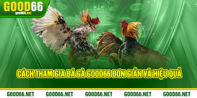Cách Tham Gia Đá Gà Good66 Đơn Giản và Hiệu Quả